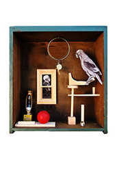 ASSEMBLAGES portfolio
